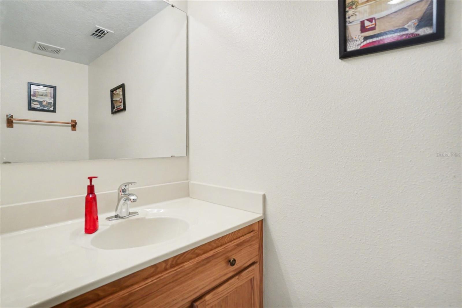 720 VALRICO HILLS LN, VALRICO, FL, 33594