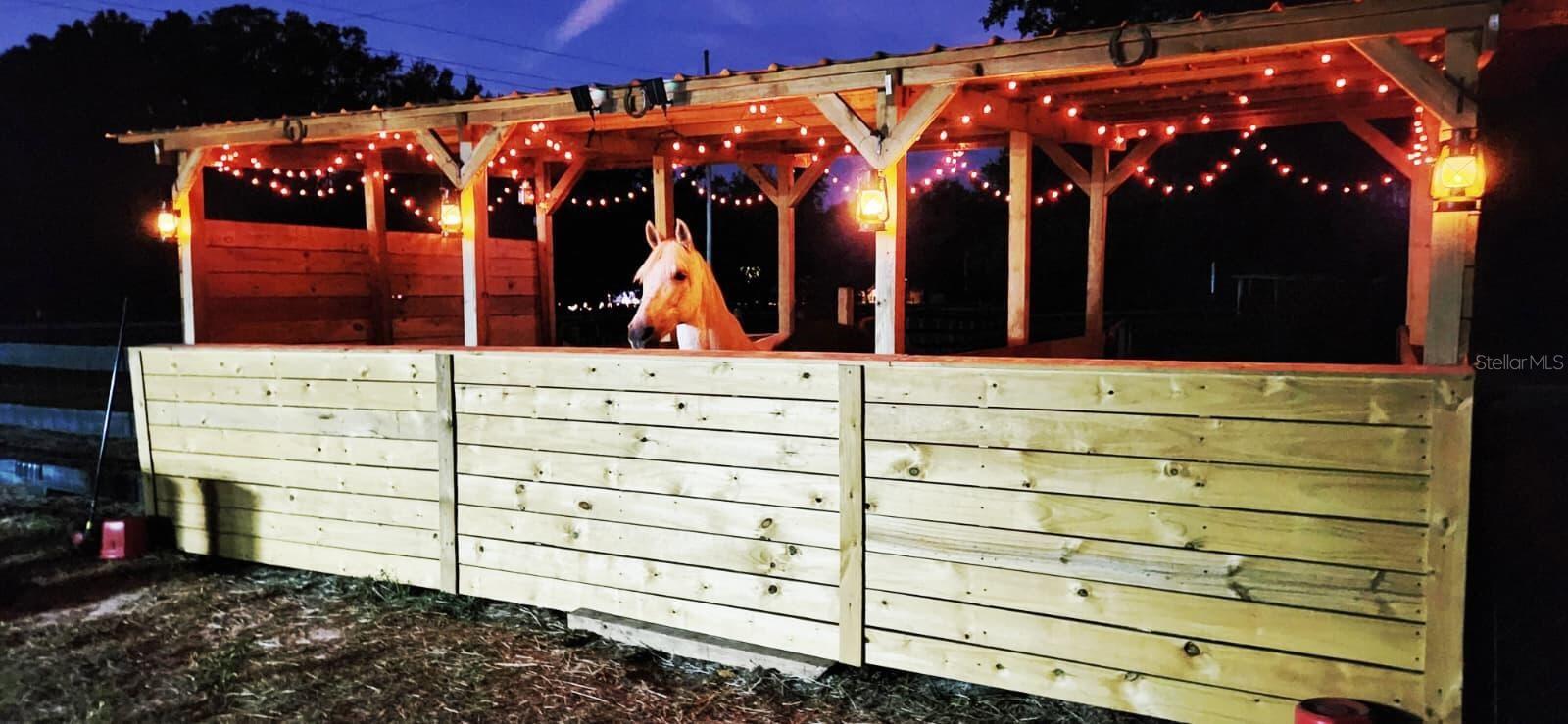 15243 S HIGHWAY 25, WEIRSDALE, FL, 32195