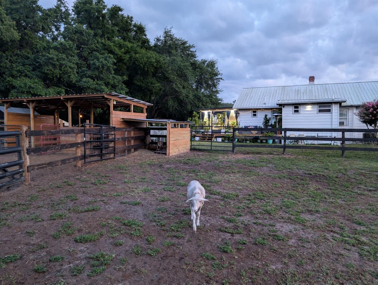 15243 S HIGHWAY 25, WEIRSDALE, FL, 32195