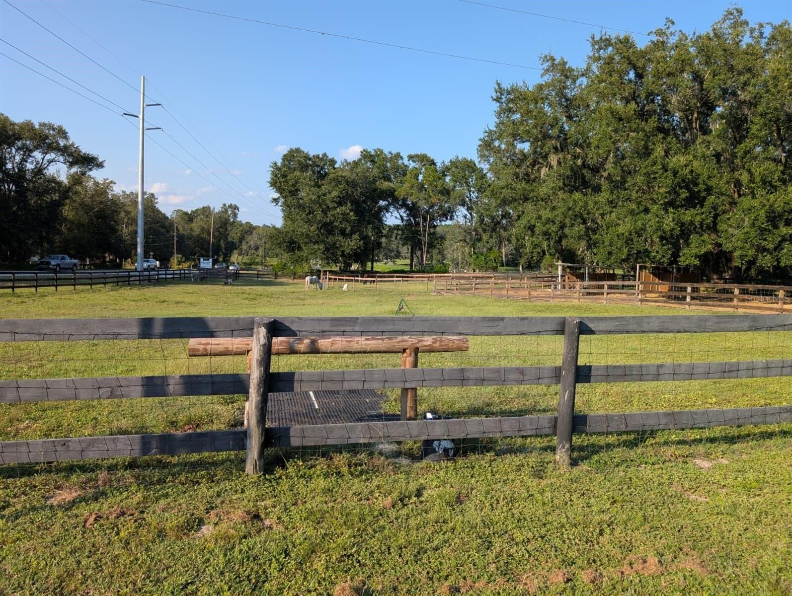 15243 S HIGHWAY 25, WEIRSDALE, FL, 32195
