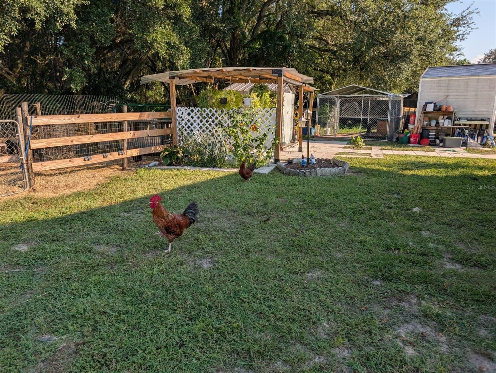 15243 S HIGHWAY 25, WEIRSDALE, FL, 32195