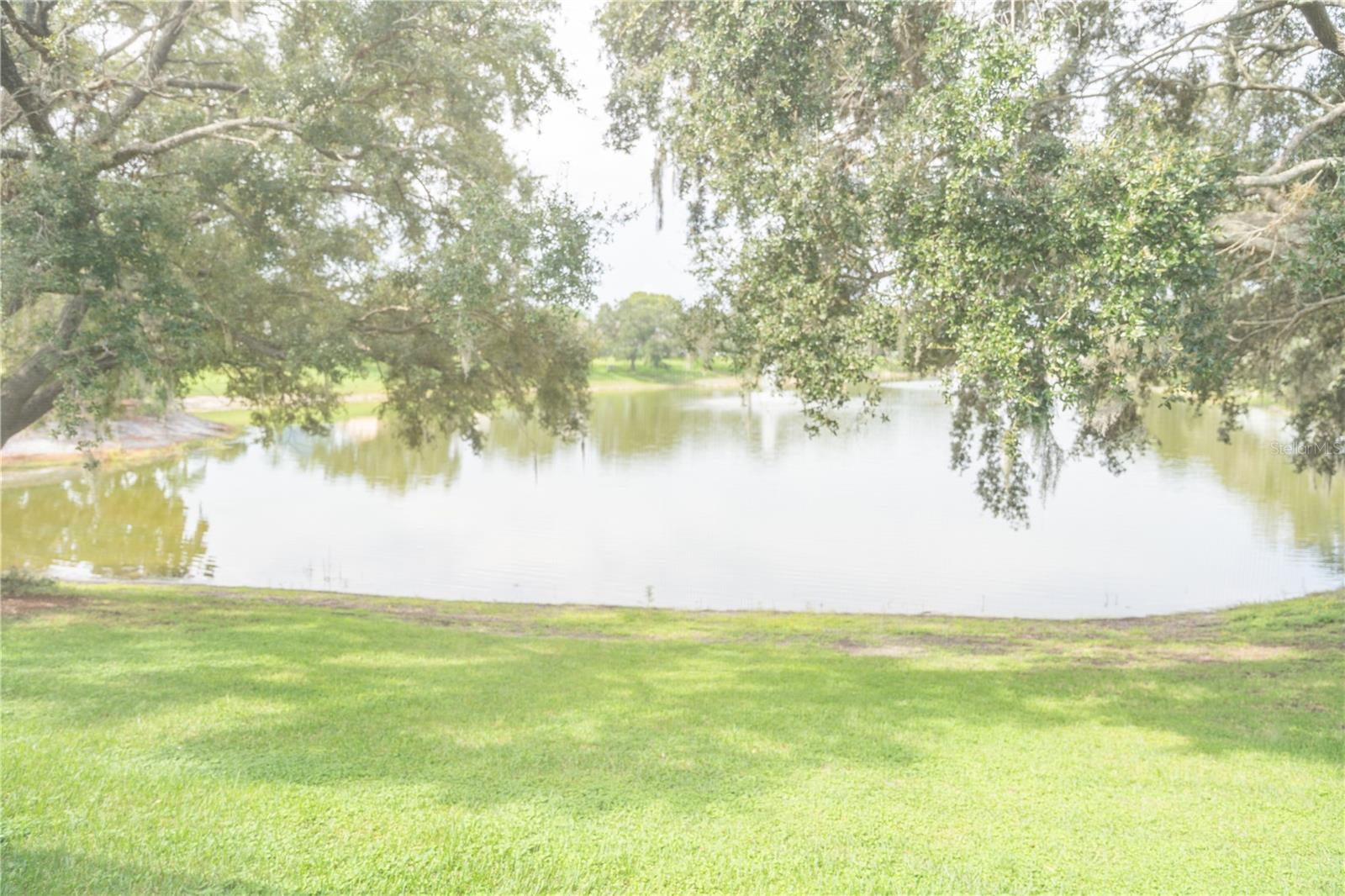 714 BAYHILL CT, LADY LAKE, FL, 32159