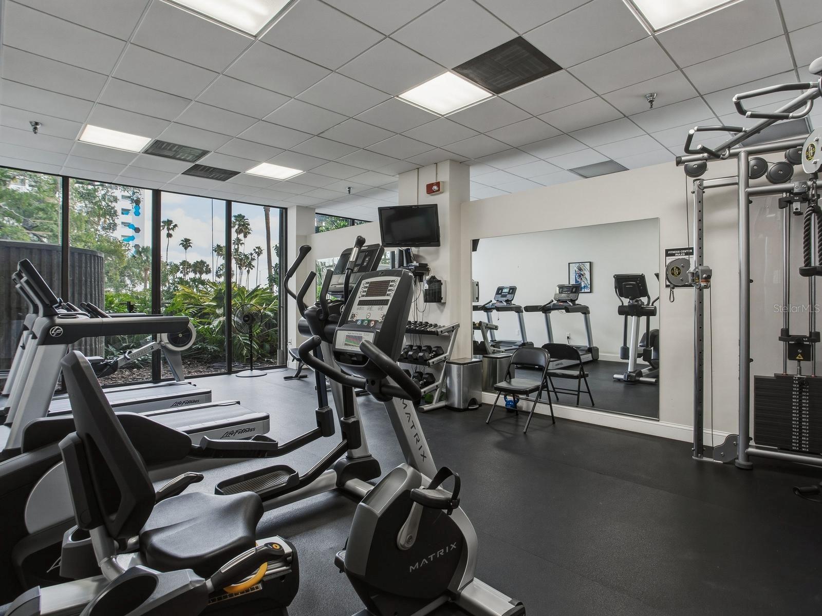 2413 BAYSHORE BLVD #201, TAMPA, FL, 33629