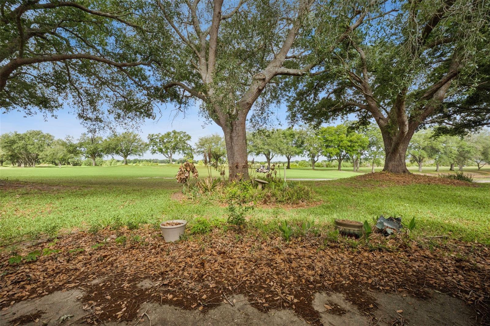 21733 ROYAL ST GEORGES LN, LEESBURG, FL, 34748