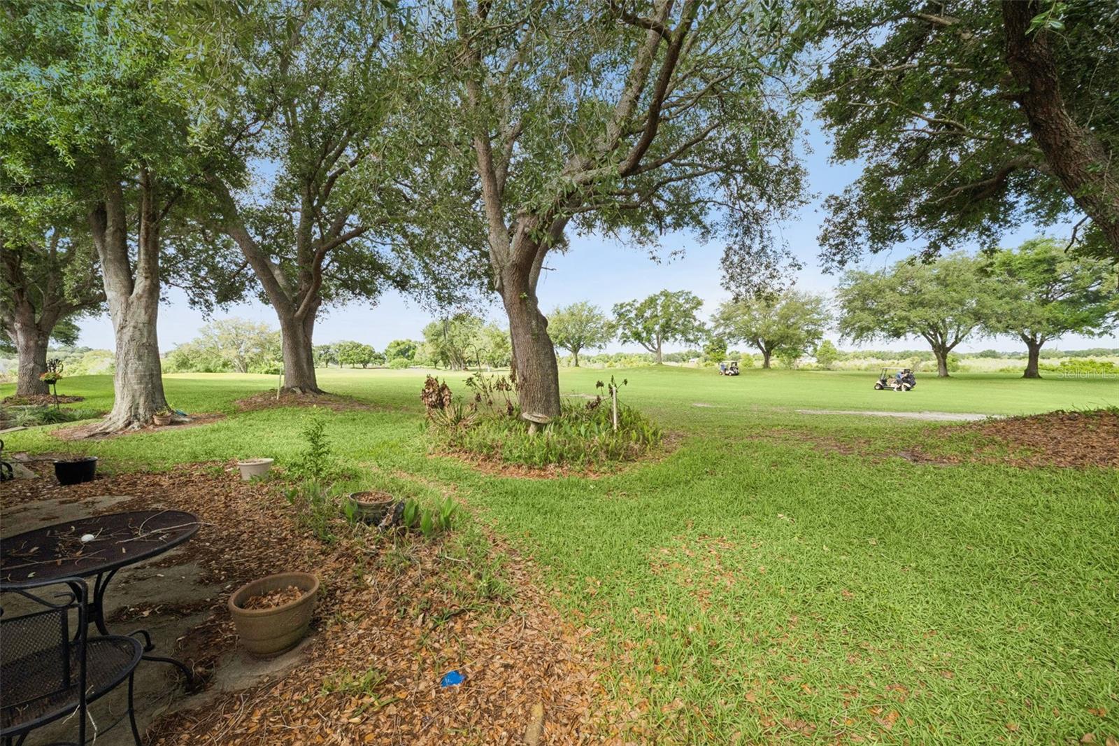 21733 ROYAL ST GEORGES LN, LEESBURG, FL, 34748