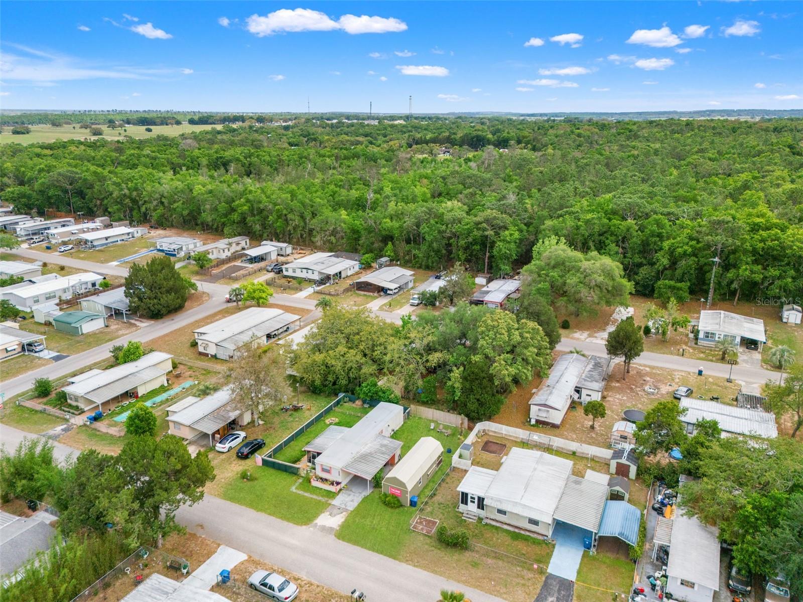 29176 HECKLEMAN ST, BROOKSVILLE, FL, 34602