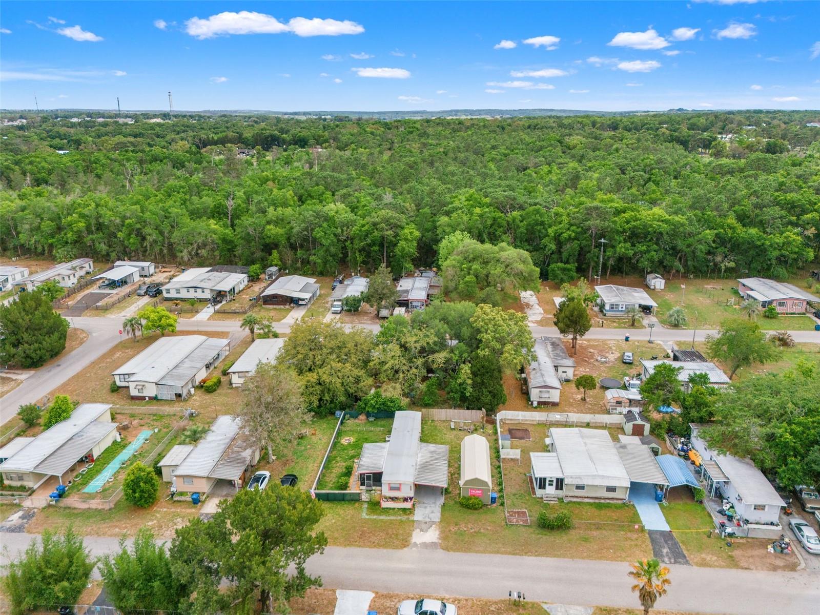 29176 HECKLEMAN ST, BROOKSVILLE, FL, 34602