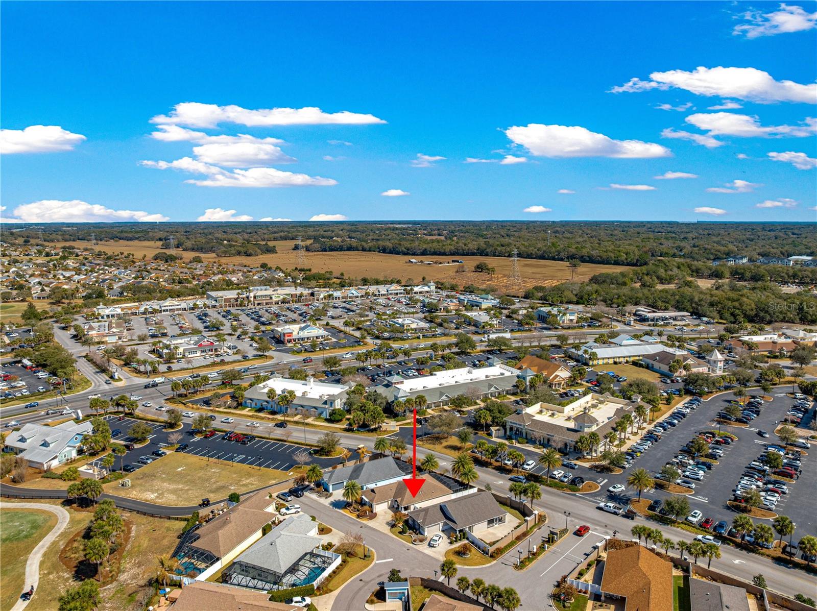 2859 RESMONDO RD, THE VILLAGES, FL, 32163