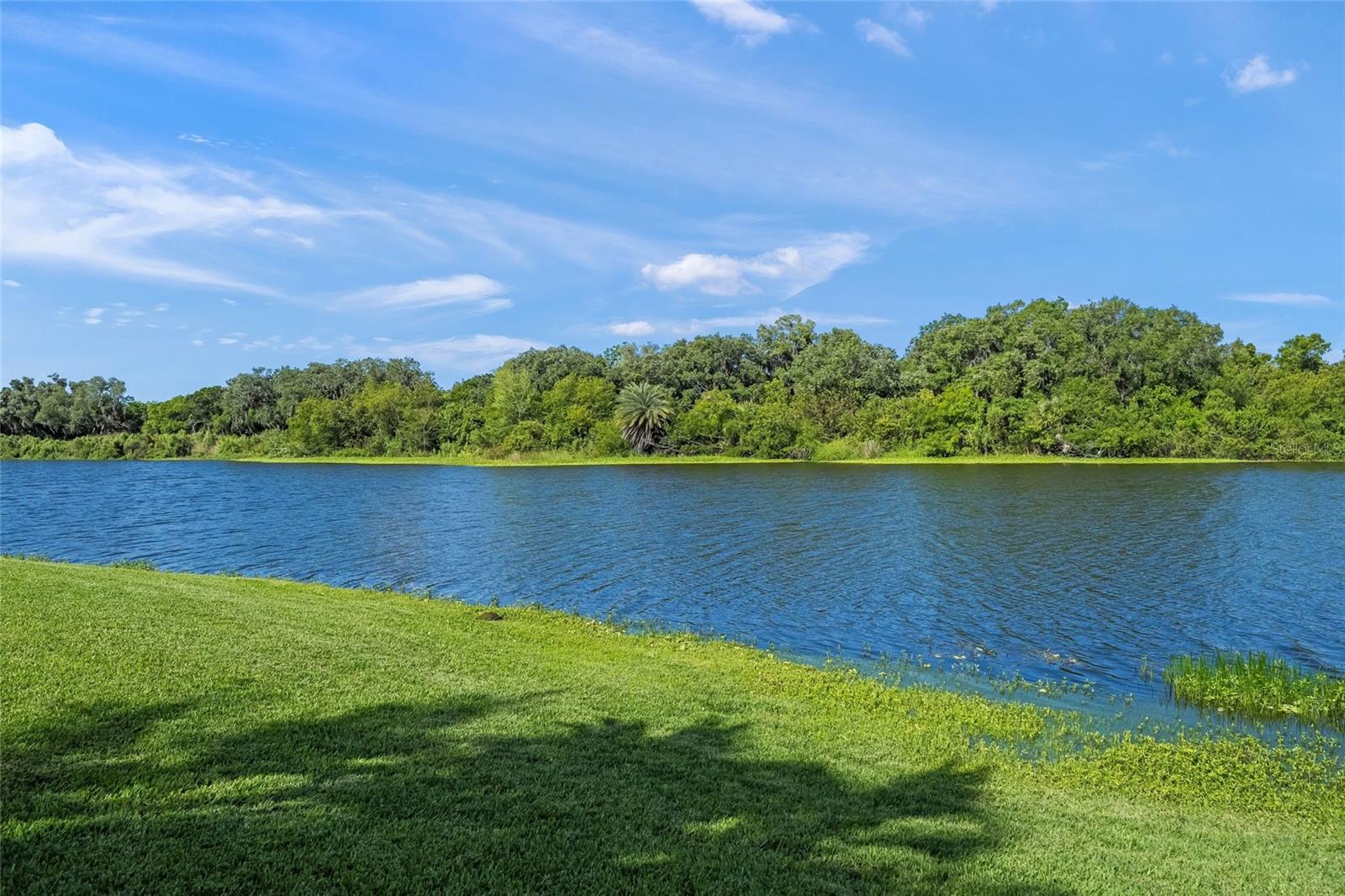 8282 BARTON FARMS BLVD, SARASOTA, FL, 34240