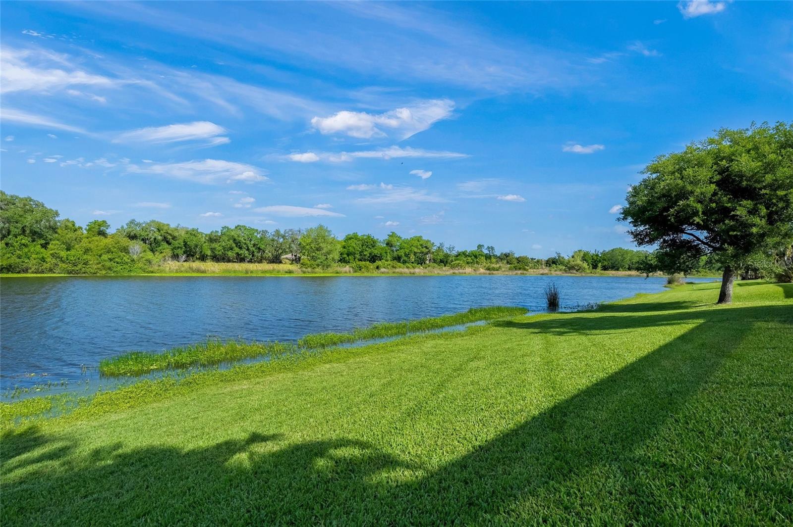 8282 BARTON FARMS BLVD, SARASOTA, FL, 34240