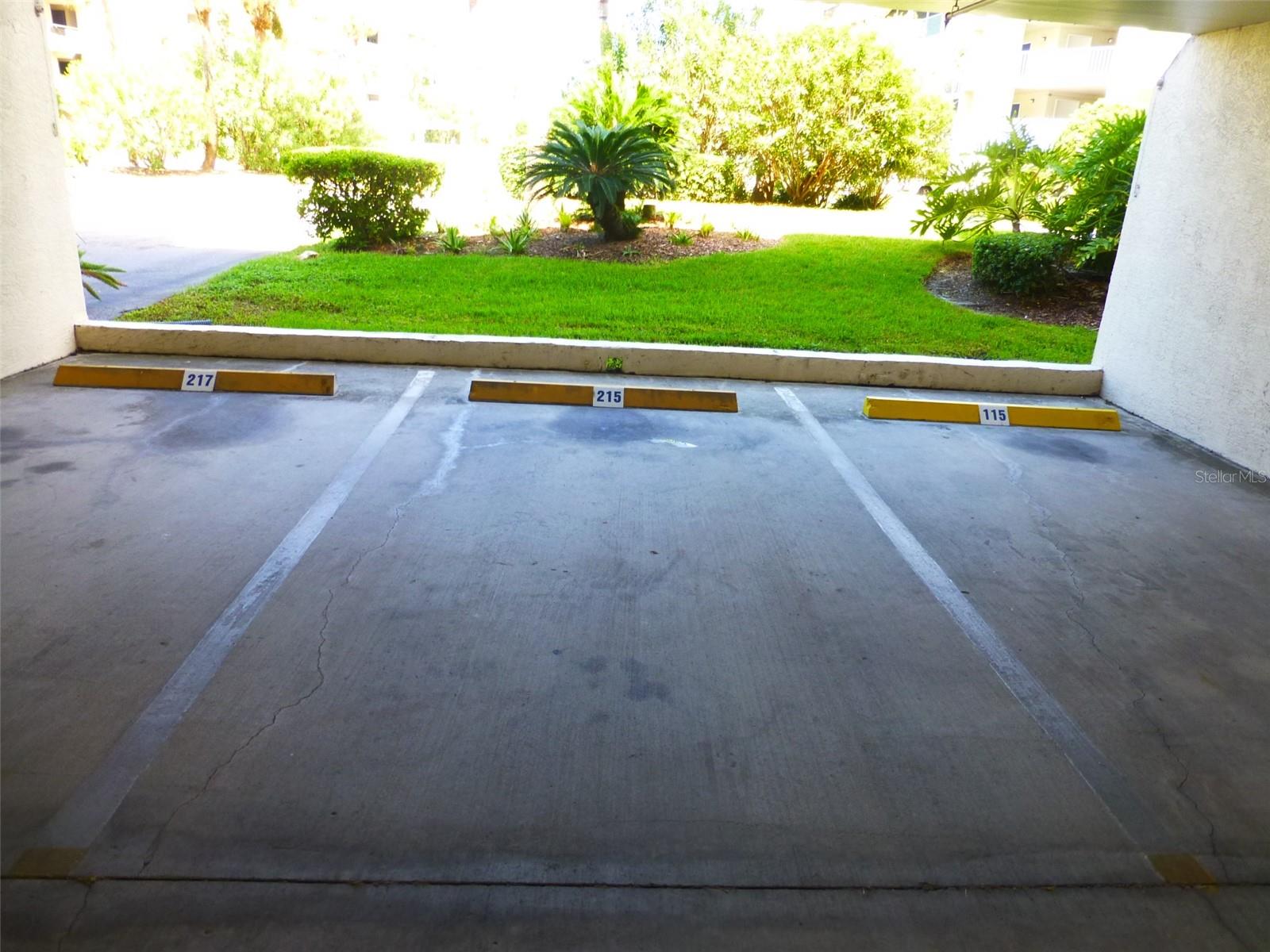 5557 SEA FOREST DR #215, NEW PORT RICHEY, FL, 34652