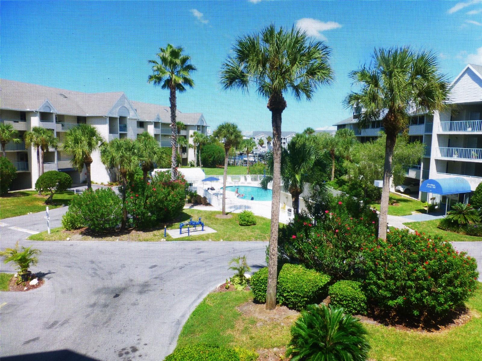 5557 SEA FOREST DR #215, NEW PORT RICHEY, FL, 34652