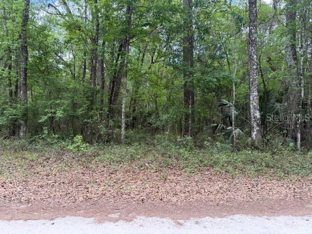 SW 75 ST, ARCHER, FL, 32618