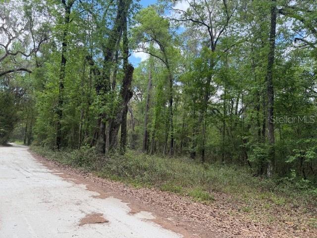 SW 75 ST, ARCHER, FL, 32618