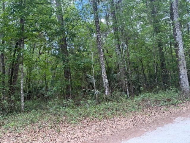 SW 75 ST, ARCHER, FL, 32618
