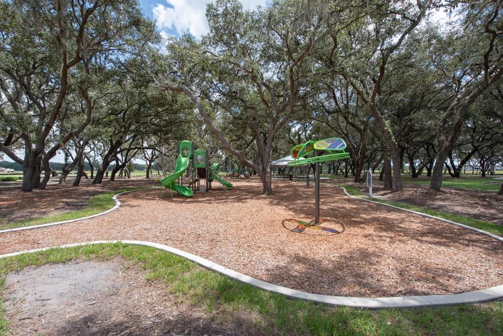 13222 ORCA SOUND DR, RIVERVIEW, FL, 33579