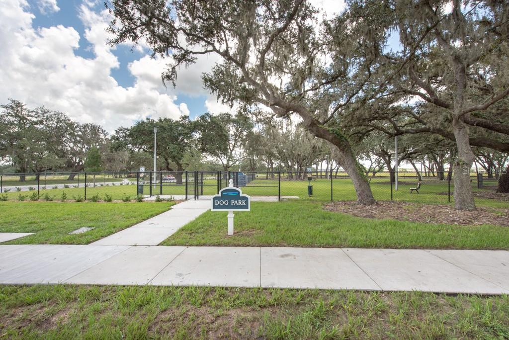 13222 ORCA SOUND DR, RIVERVIEW, FL, 33579