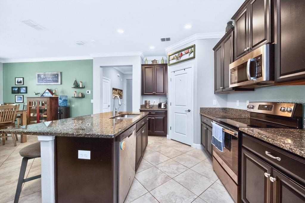 13222 ORCA SOUND DR, RIVERVIEW, FL, 33579