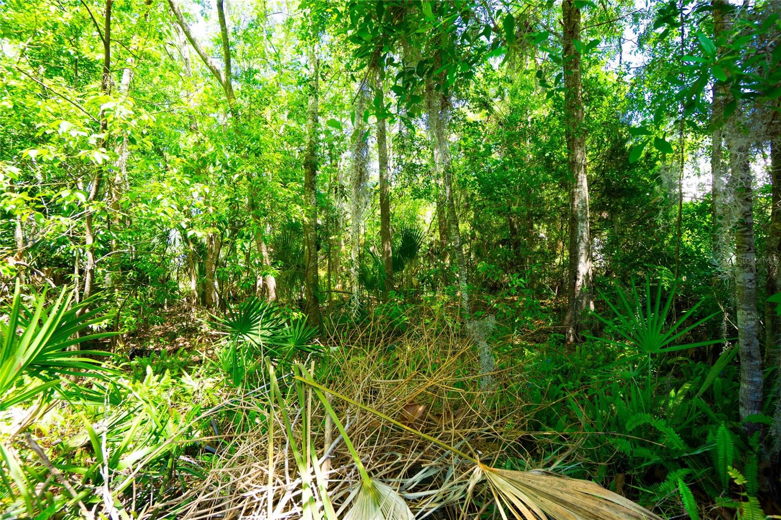 1028 COLLIER BLVD, ST AUGUSTINE, FL, 32084