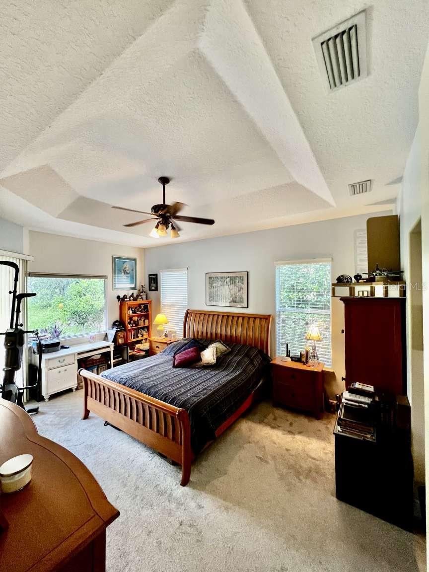 16325 MAGNOLIA BLUFF DR, MONTVERDE, FL, 34756