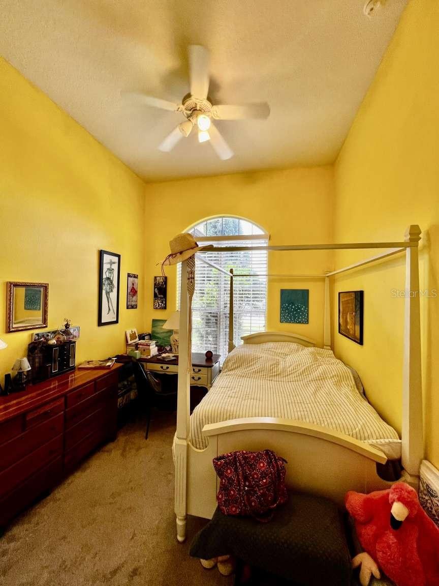 16325 MAGNOLIA BLUFF DR, MONTVERDE, FL, 34756
