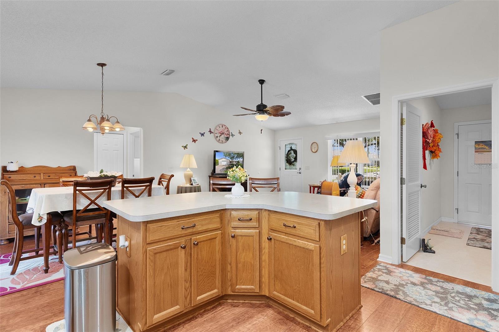 915 HARETISON AVE, THE VILLAGES, FL, 32162