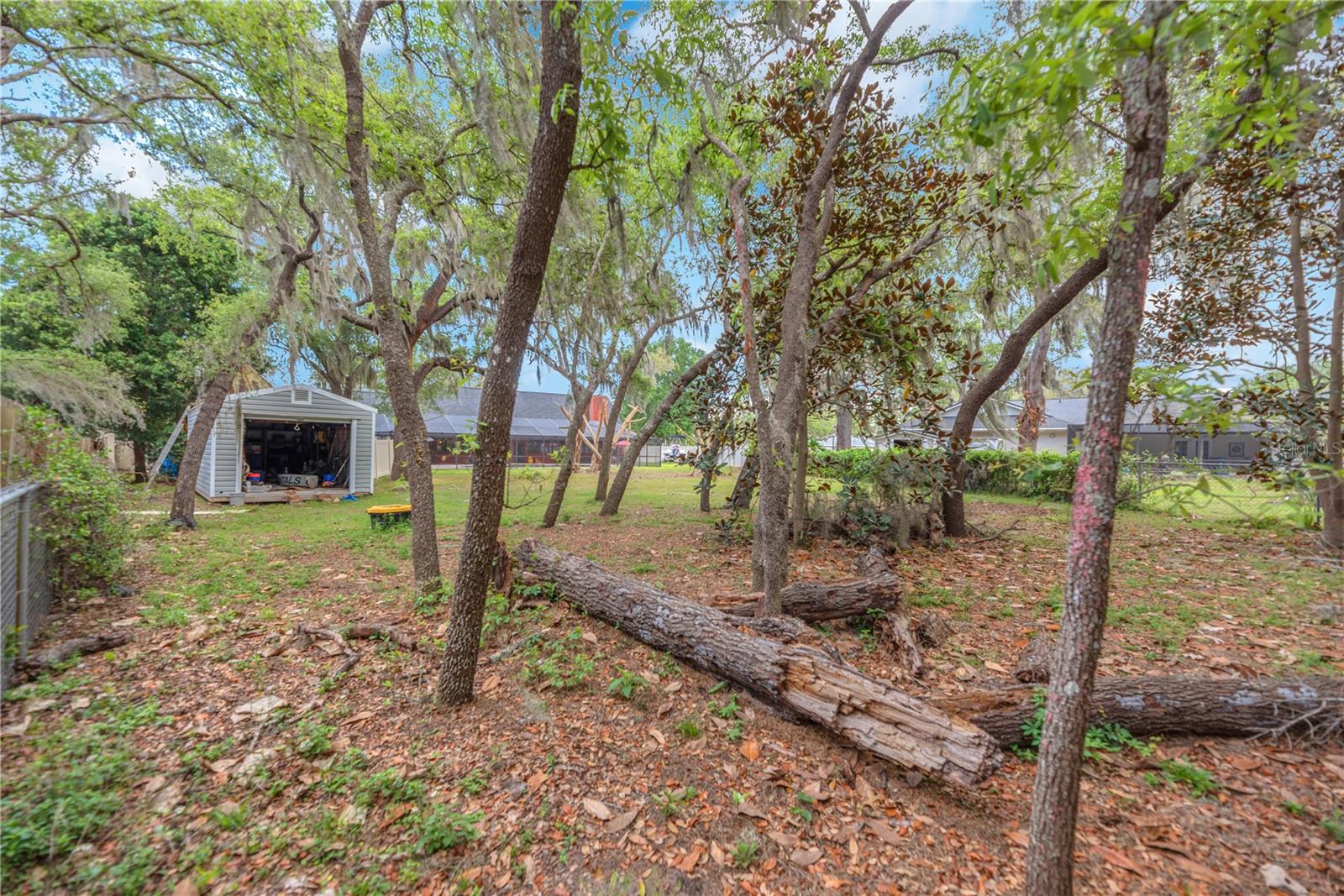 View of home from backyard. There’s no shortage of space for all your needs, with a 12x23 shed with roll up door.