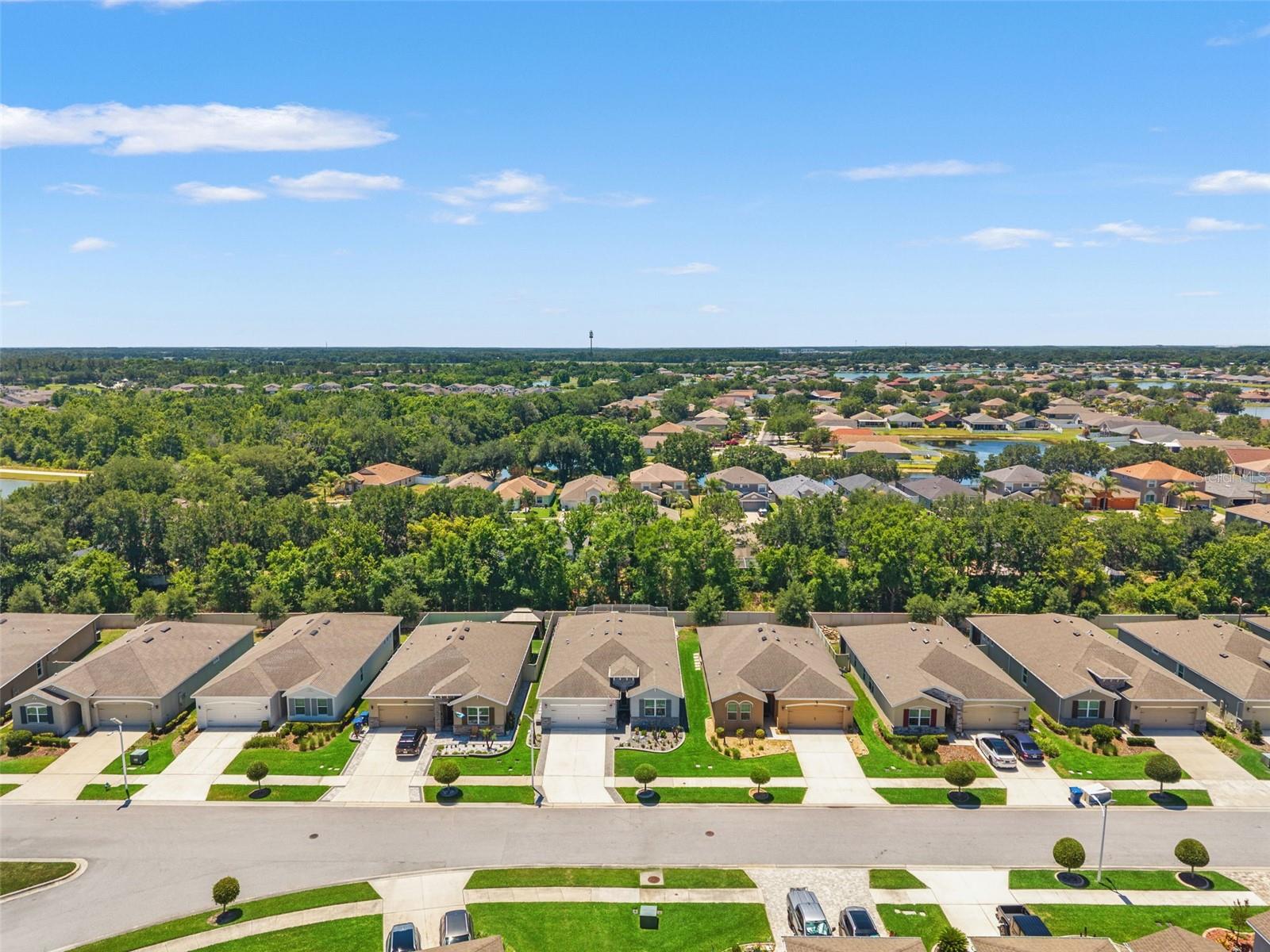 31486 TANSY BND, WESLEY CHAPEL, FL, 33545