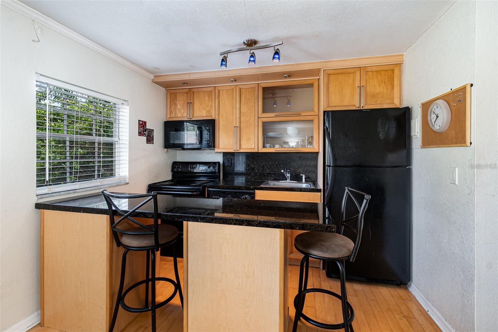 1515 CATHERINE ST #3, ORLANDO, FL, 32801