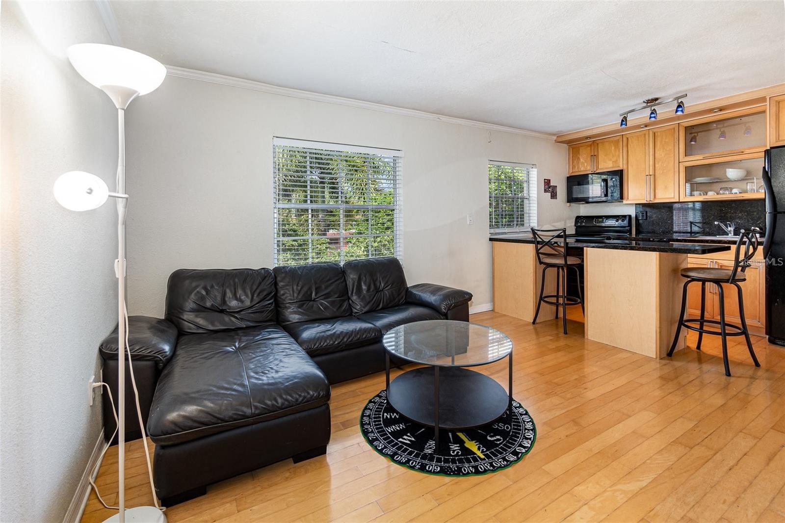 1515 CATHERINE ST #3, ORLANDO, FL, 32801