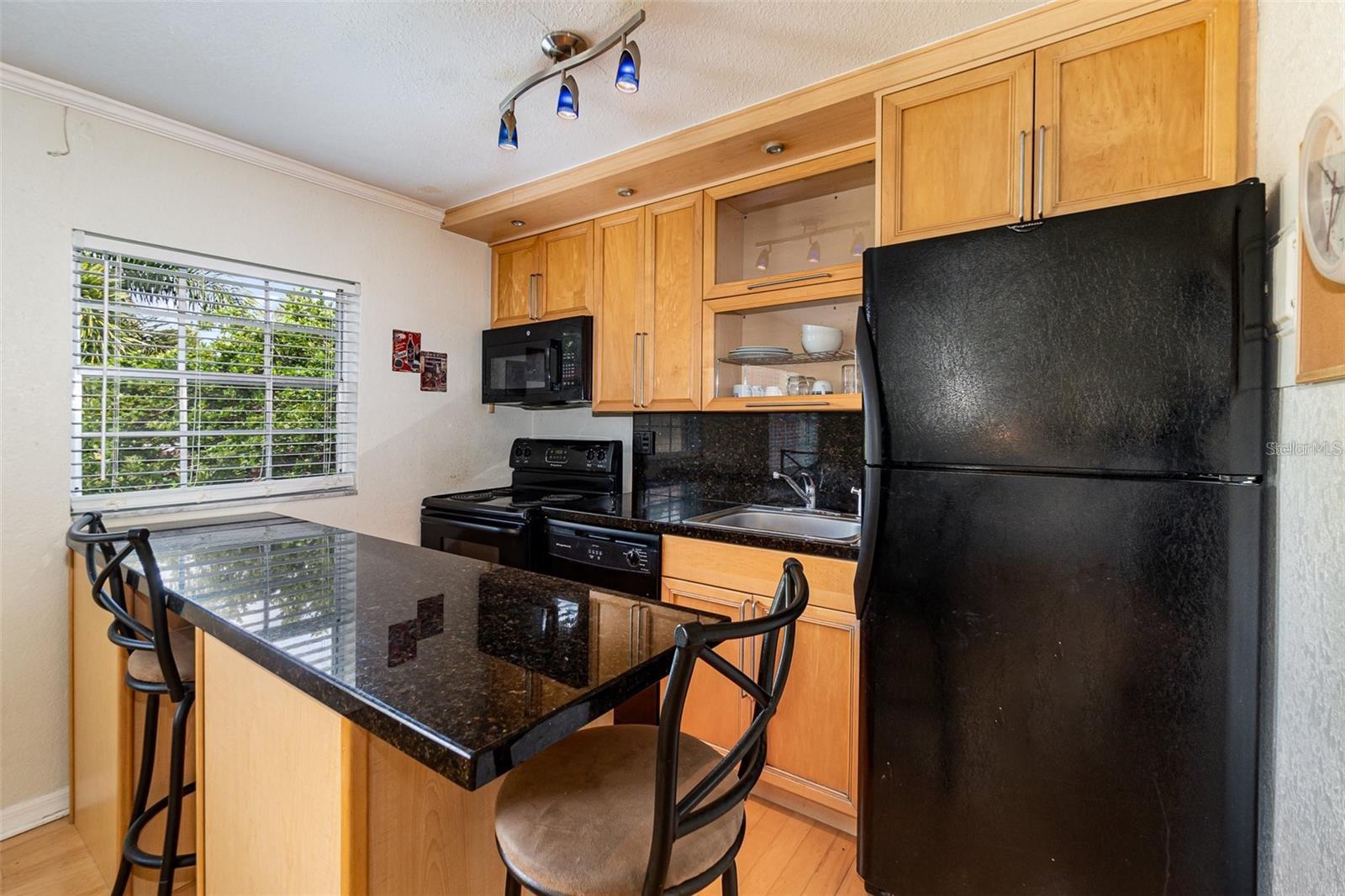 1515 CATHERINE ST #3, ORLANDO, FL, 32801