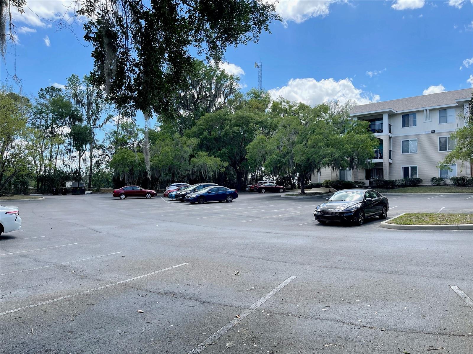3921 SW 34TH ST #307, GAINESVILLE, FL, 32608