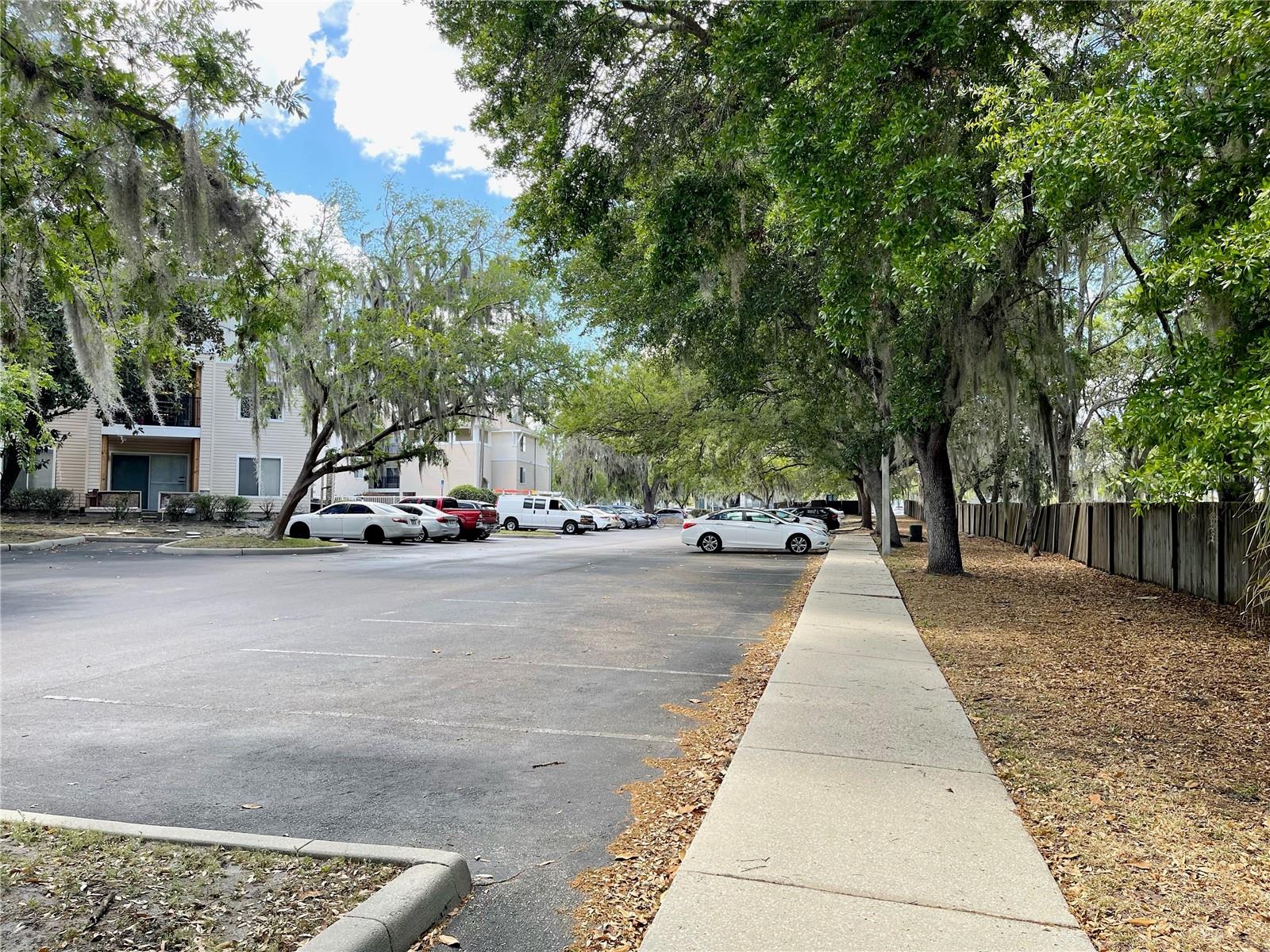 3921 SW 34TH ST #307, GAINESVILLE, FL, 32608