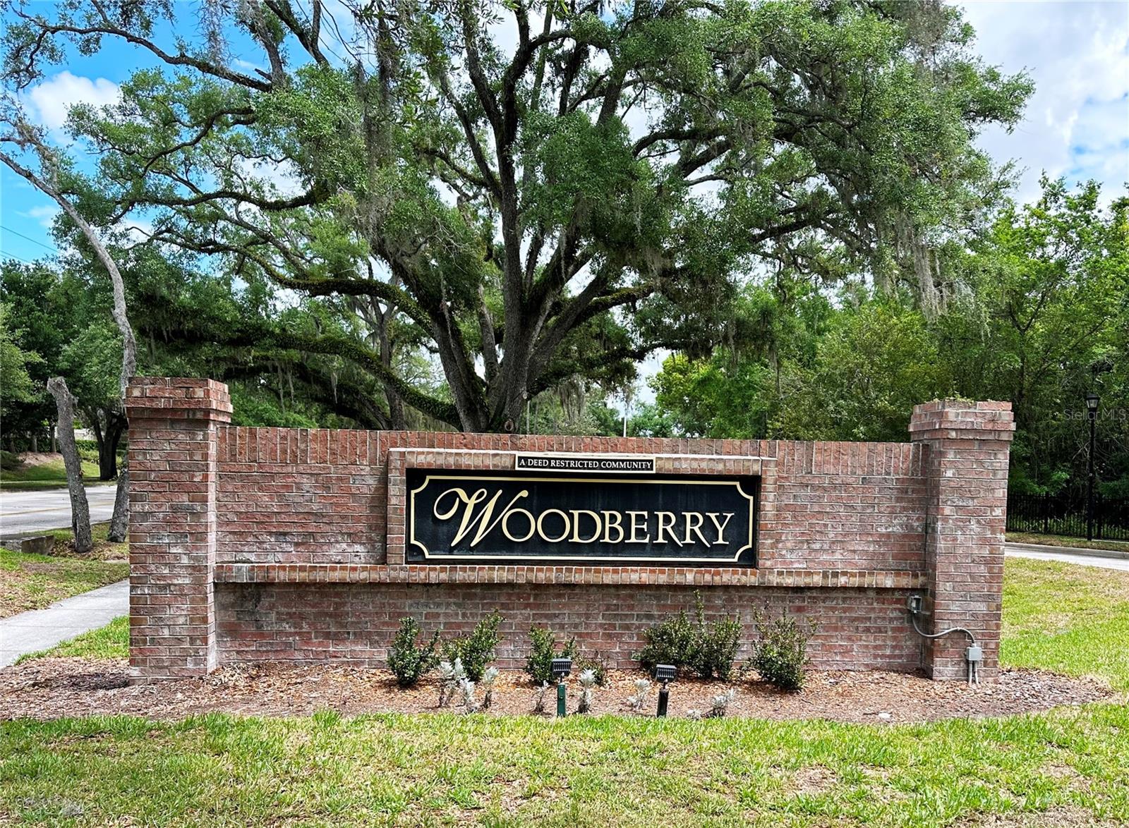 Woodberry