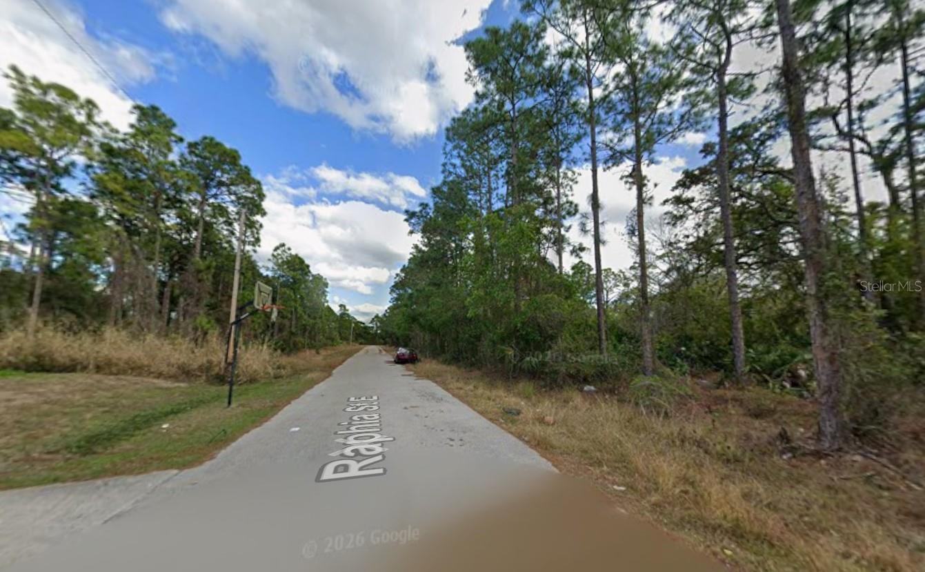 1210 RAPHIA ST E, LEHIGH ACRES, FL, 33974
