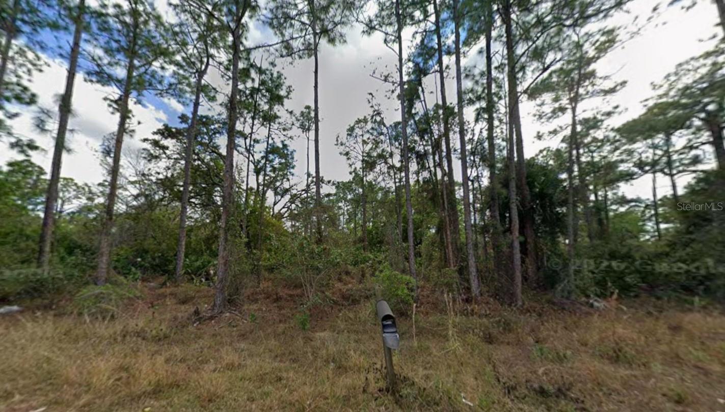 1210 RAPHIA ST E, LEHIGH ACRES, FL, 33974