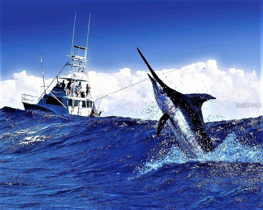 4406 W WYOMING AVE, TAMPA, FL, 33616