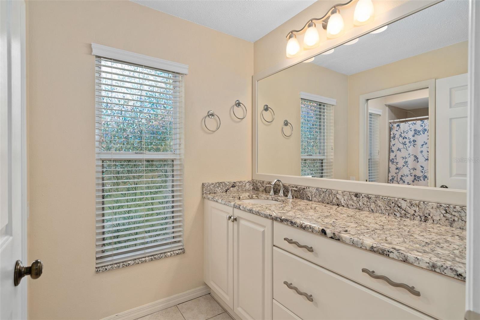 1203 TALL PINE DR, APOPKA, FL, 32712