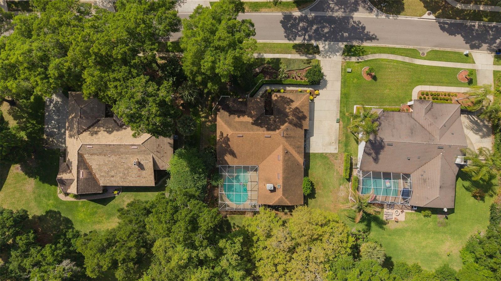 1203 TALL PINE DR, APOPKA, FL, 32712