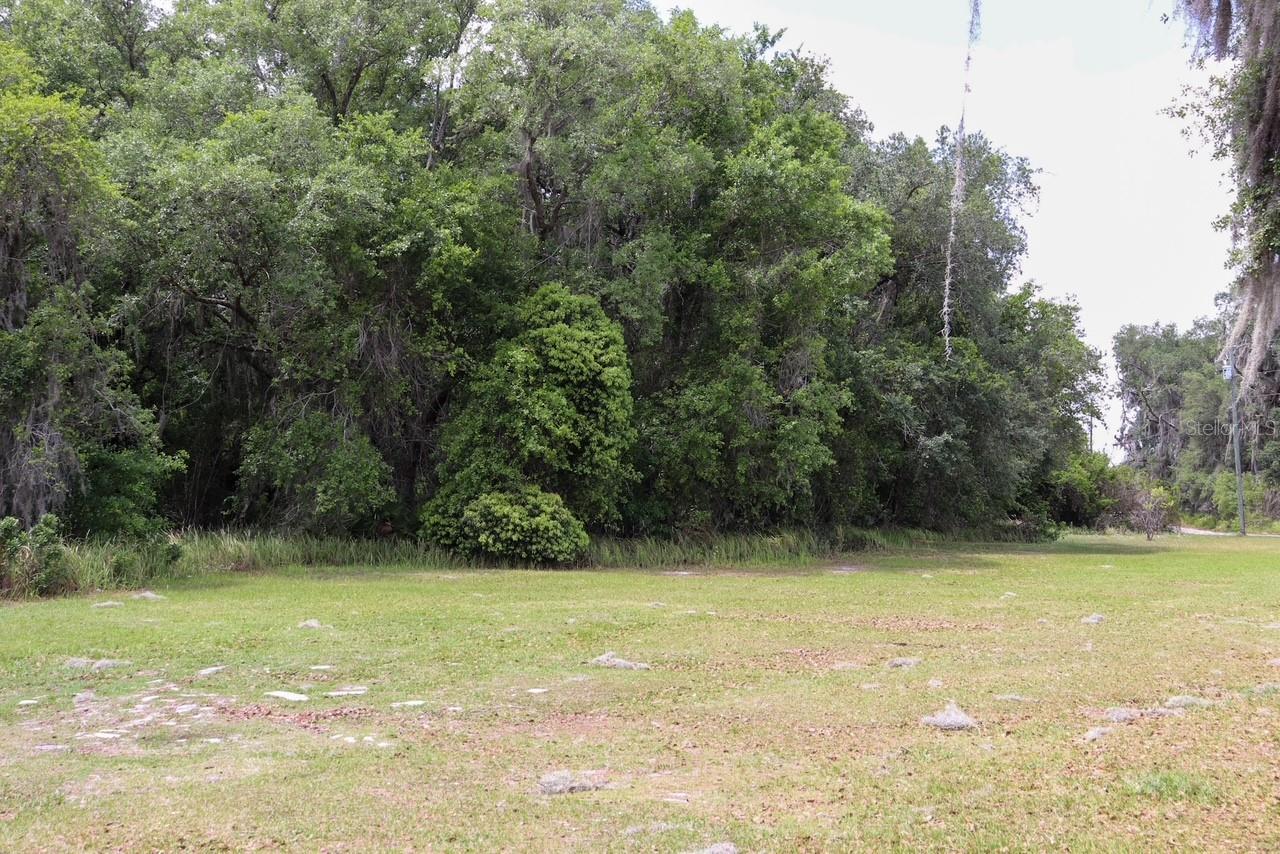 448 FERNANDEZ ST, WINTER HAVEN, FL, 33880