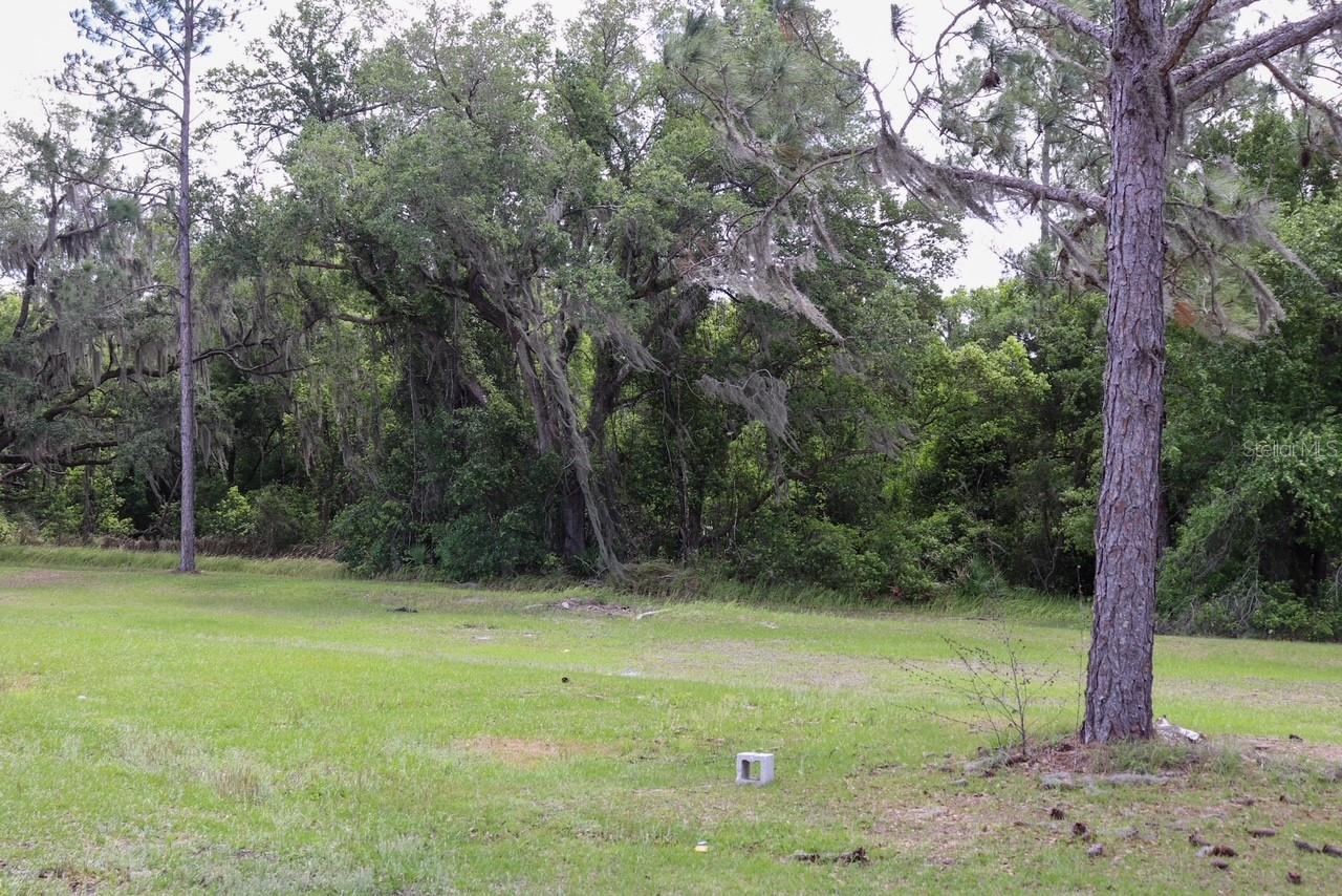 448 FERNANDEZ ST, WINTER HAVEN, FL, 33880