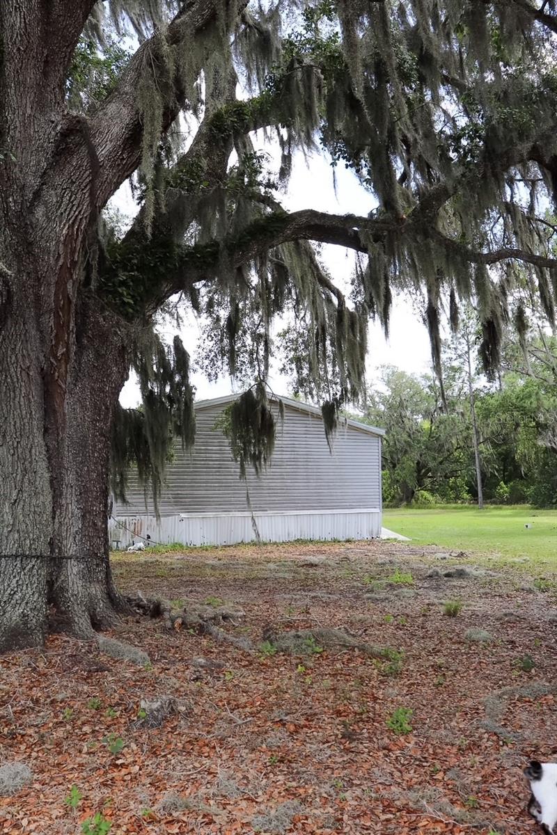 448 FERNANDEZ ST, WINTER HAVEN, FL, 33880