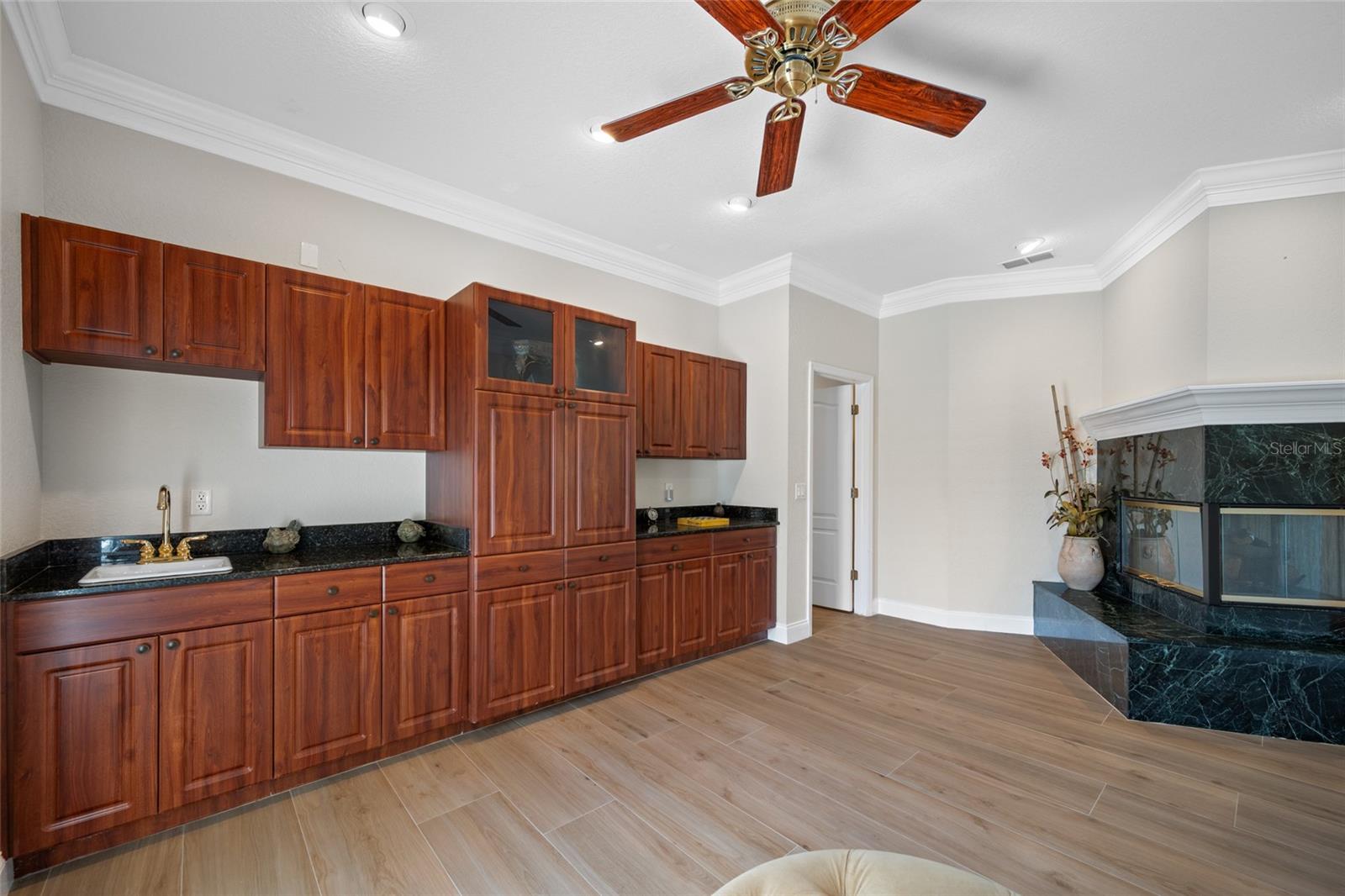 Primary bedroom entrancce- wetbar, gas fireplace and storage