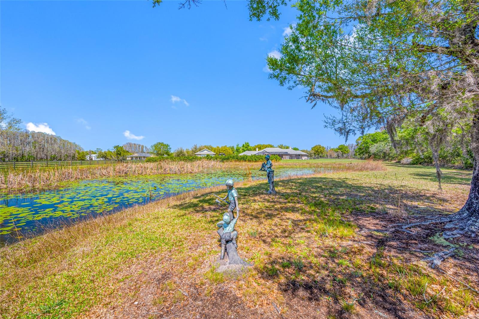 Pond area- looking towards home
