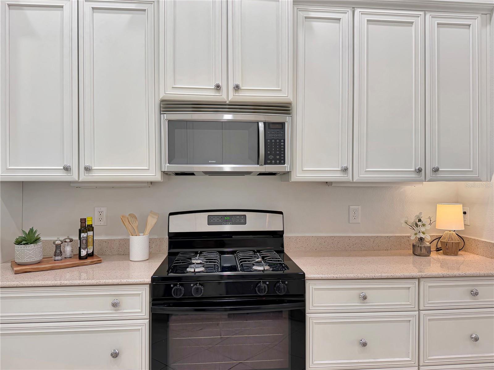 6817 CROMWELL GARDEN DR, APOLLO BEACH, FL, 33572