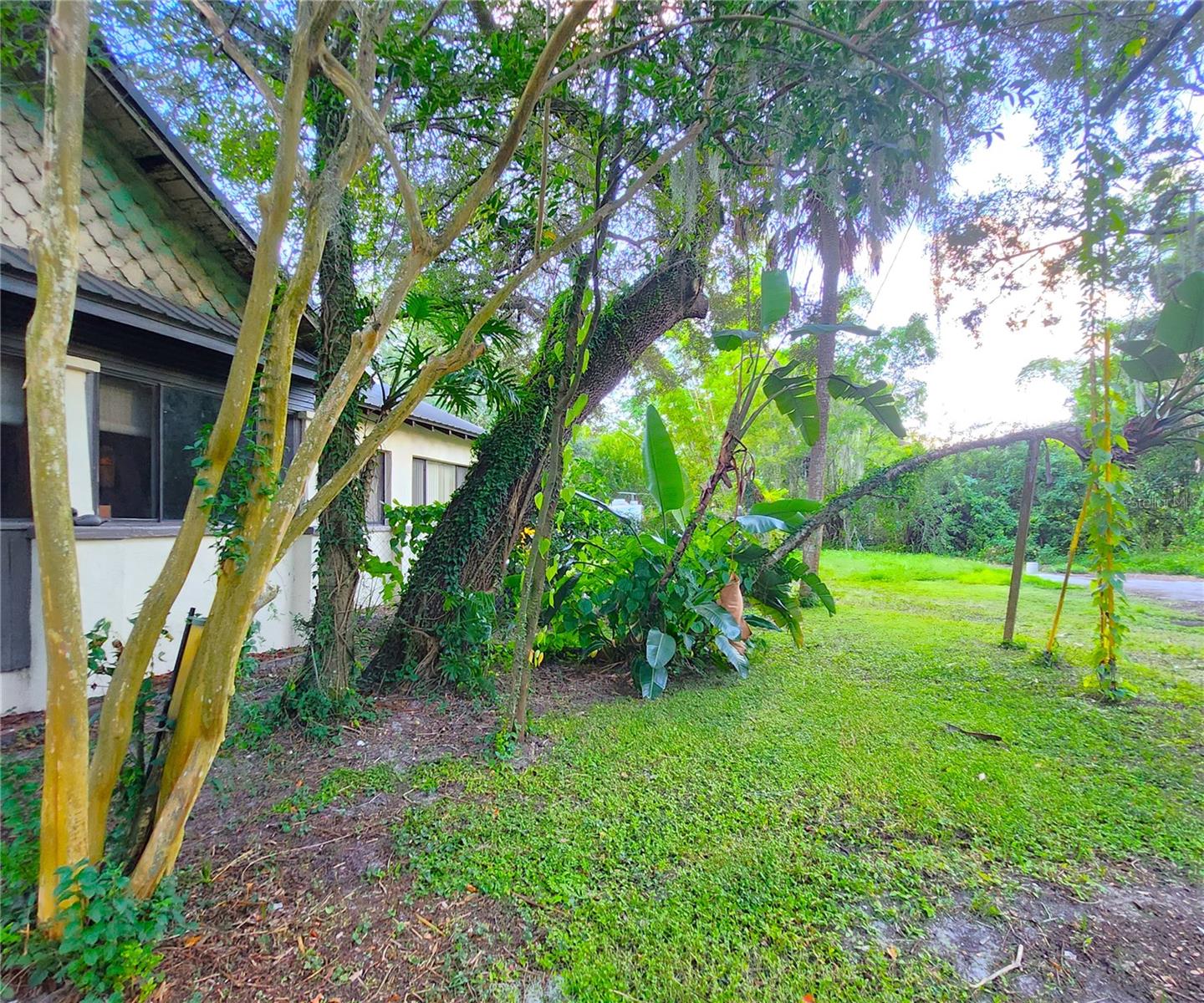 7805 N 12TH ST, TAMPA, FL, 33604