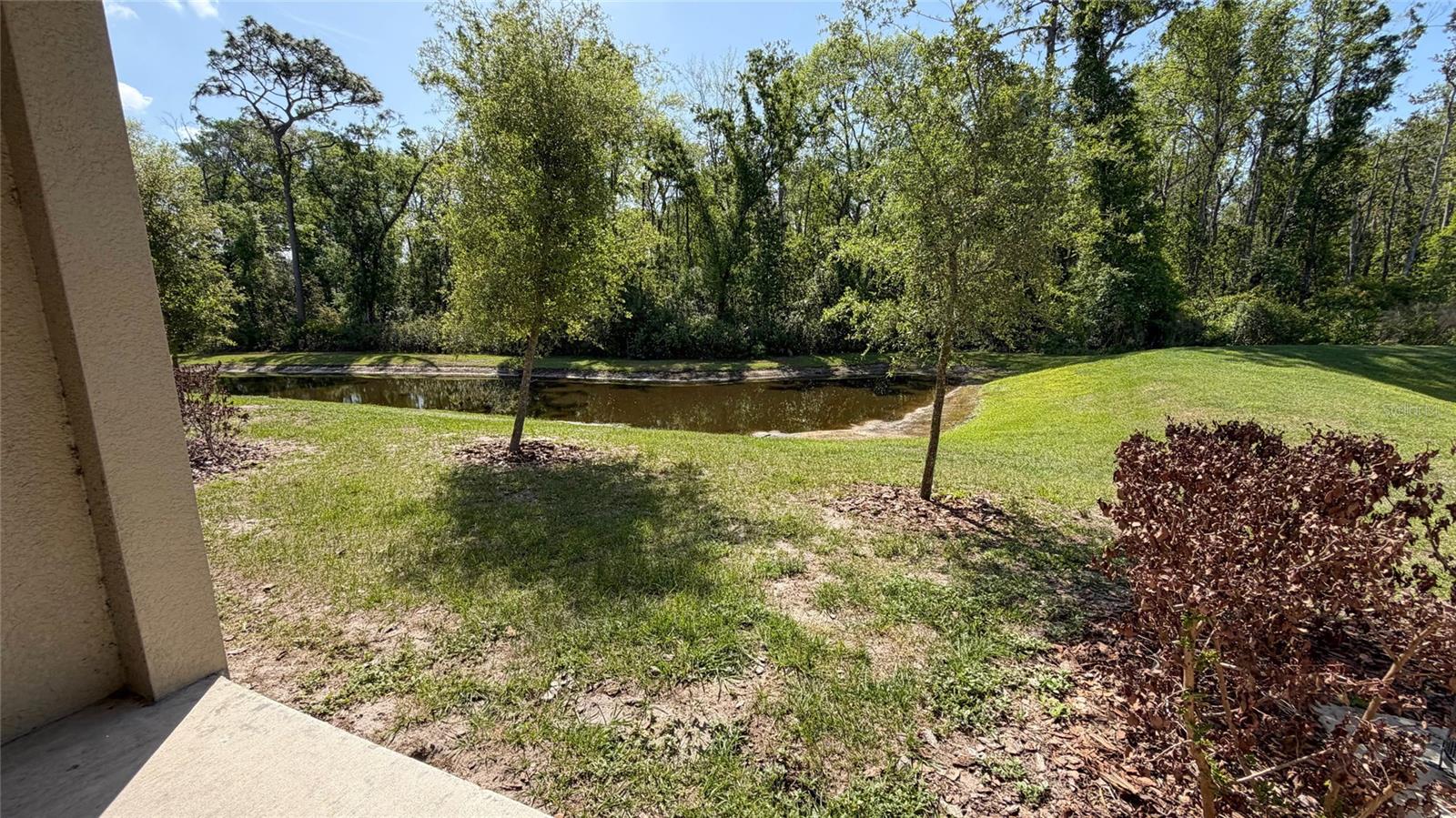 17608 NECTAR FLUME DR, LAND O LAKES, FL, 34638