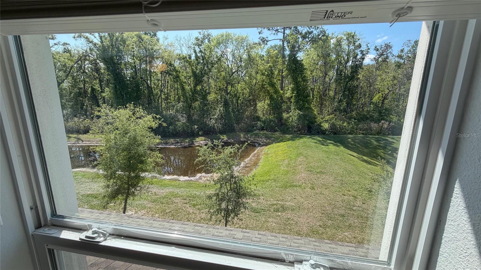 17608 NECTAR FLUME DR, LAND O LAKES, FL, 34638