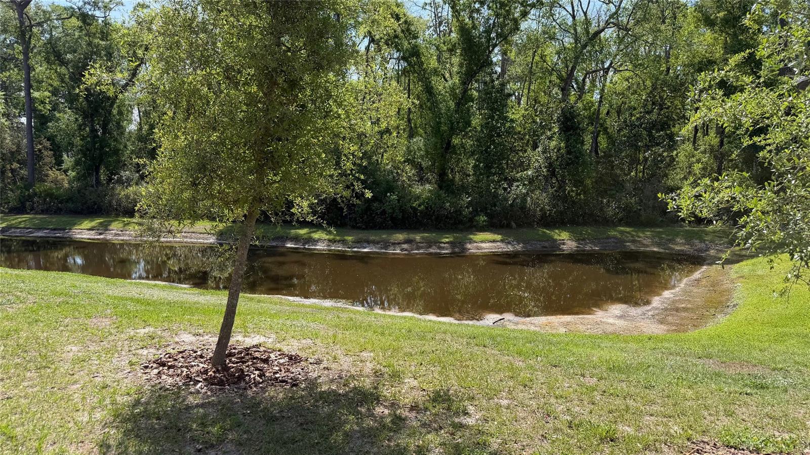 17608 NECTAR FLUME DR, LAND O LAKES, FL, 34638