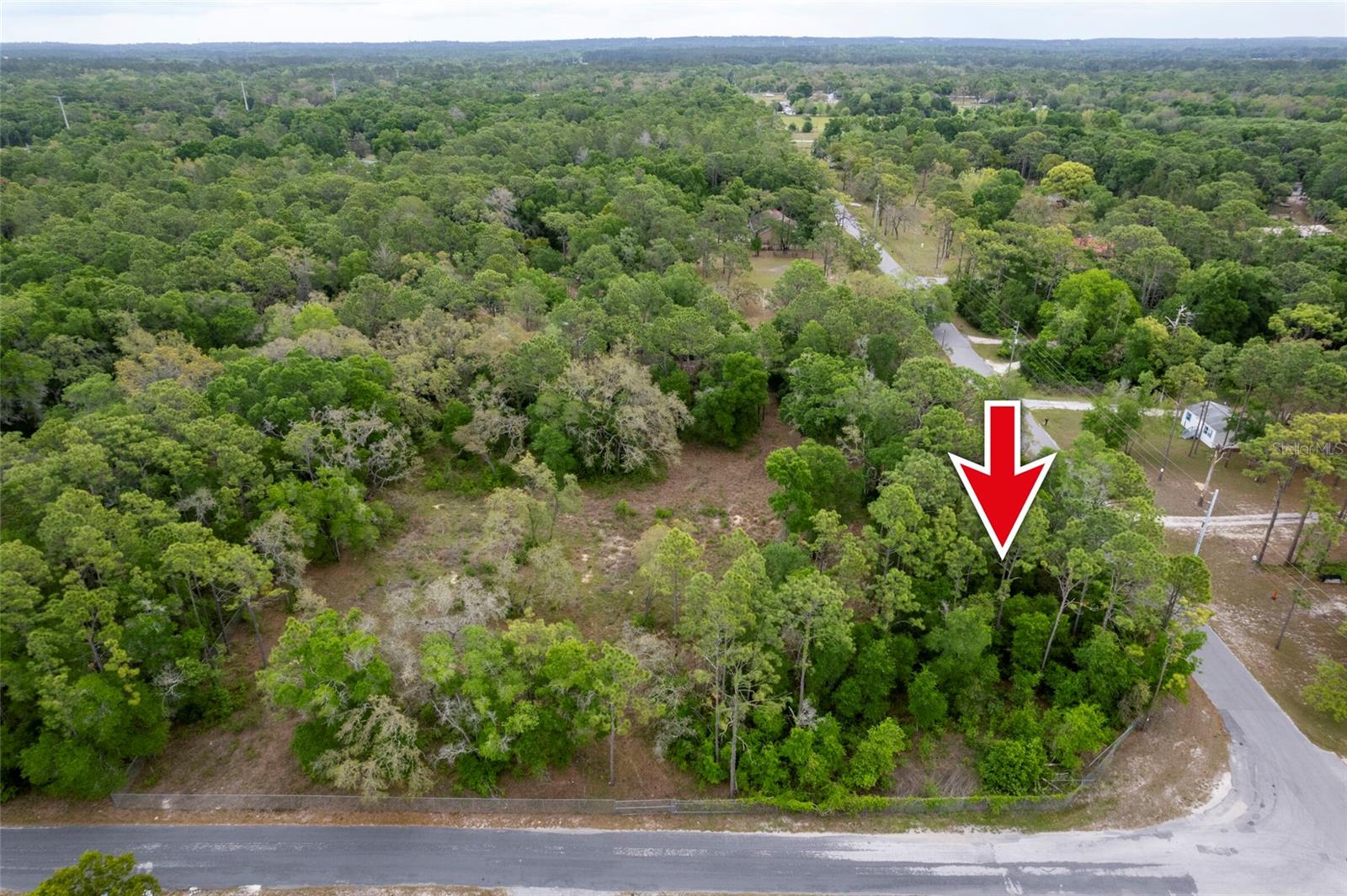 16021 FORZANDO AVE, BROOKSVILLE, FL, 34604